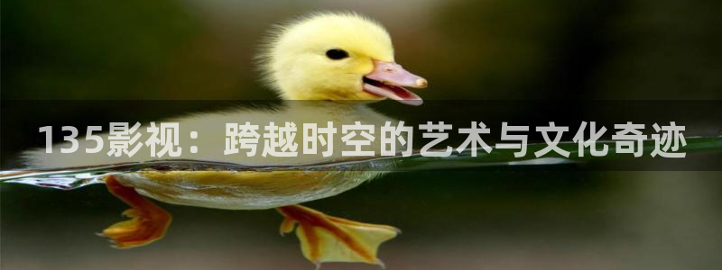 白云视频免费看电视剧
