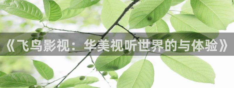 白云视频.