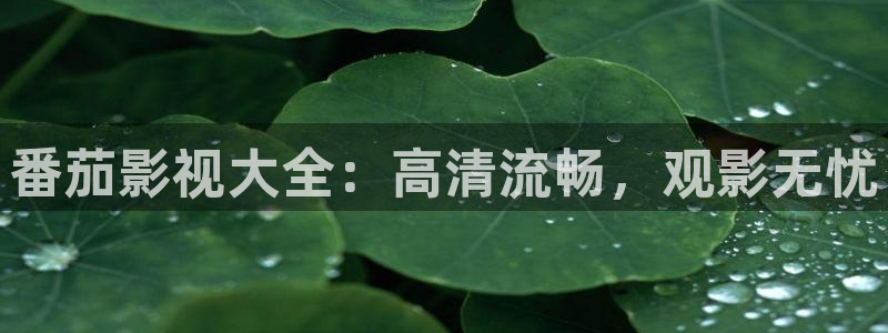 白云视频追剧：番茄影视大全：高清流畅，观影无忧