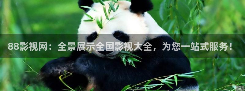 白云视频苹果：88影视网：全景展示全国影视大全，为您一站式服务！