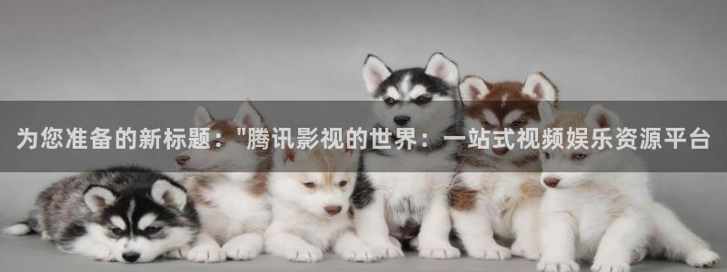 白云视频最新版本
