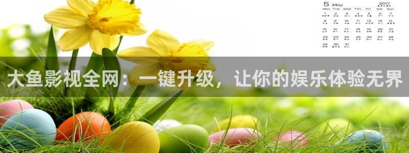 白云视频下载最新版本安装：大鱼影视全网：一键升级，让你的娱乐体验无界