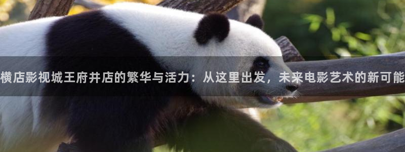 白云视频2025：横店影视城王府井店的繁华与活力：从这里出发，未来电影艺术的新可能